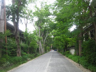 下鴨神社参道