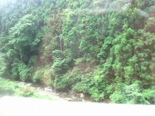 花脊峠への峠道