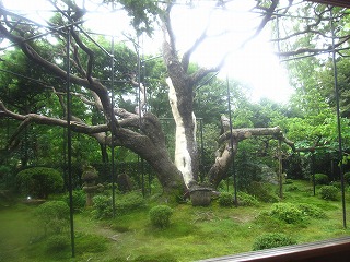 宝泉院