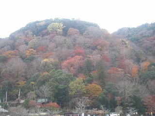 嵐山の紅葉