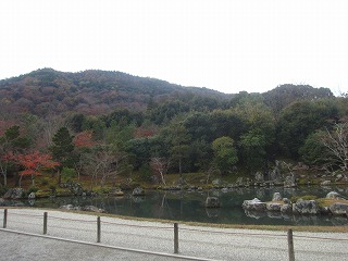 天龍寺・曹源池庭園