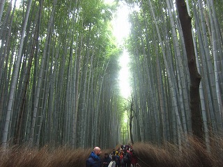 嵯峨・竹林の道