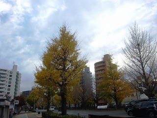 堀川通