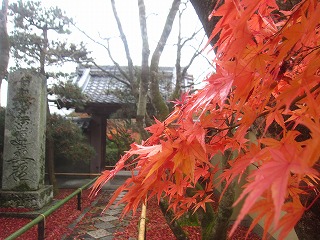 光悦寺