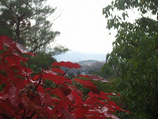 光悦寺境内からの眺望