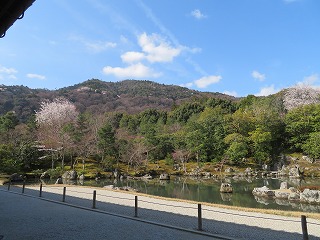 天龍寺・曹源池庭園