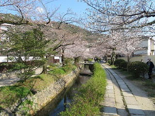 哲学の道の風景