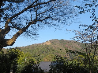 真正極楽寺（真如堂）境内から東山を望む