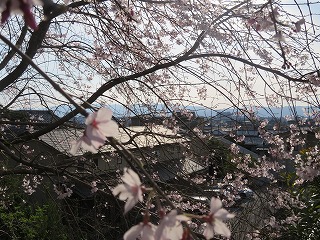 哲学の道から京都盆地を望む風景