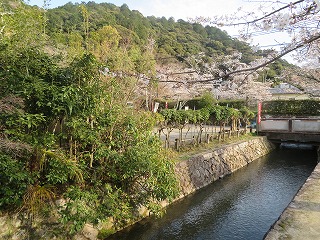 哲学の道と東山の風景