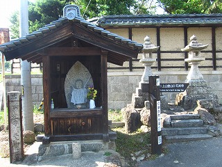 nƓWA铕