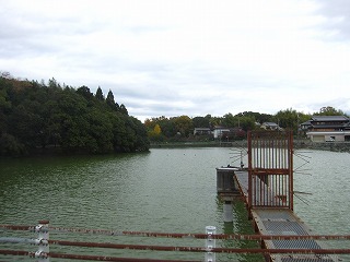 Ir