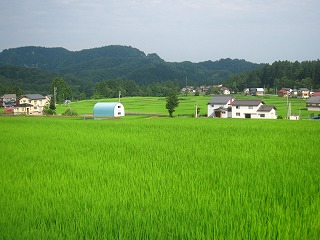 cRW̌i
