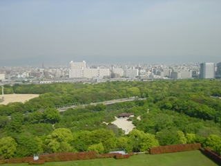 邩̘