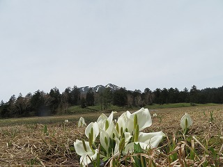 ��]�����̐��m��