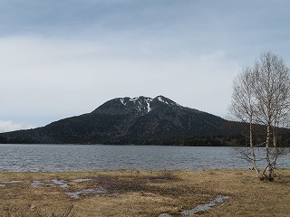 �������z�������P�x��]��