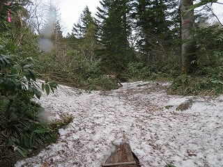 �������t��