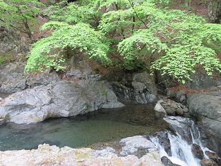 千代渕と千代の滝