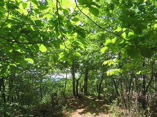 山なみのみちの風景
