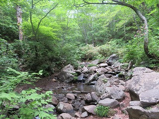 水神近く、七北田川源流域