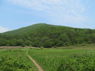 岡沼から泉ヶ岳を望む