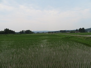朴沢地区の田園風景
