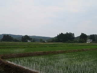 屋敷林を伴う集落風景