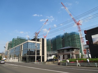 旧農学部前の北側