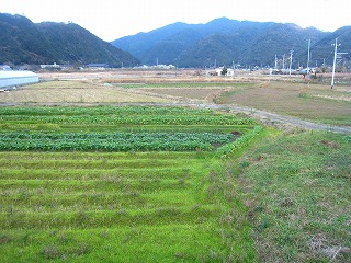 gǐ