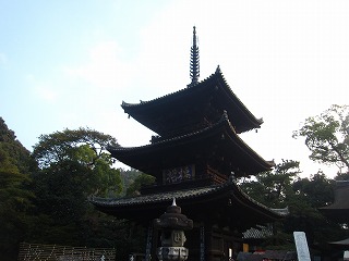 Ύ莛EOd