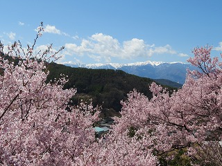 桂泉寺境内からの風景