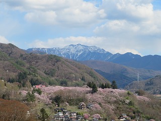 鉾持神社付近から望む高遠城址公園