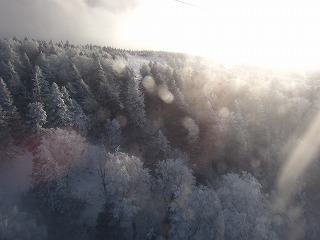 [vEFC