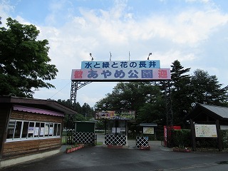 䂠ߌ