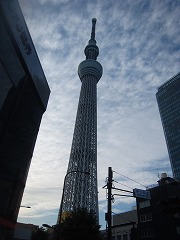 グXJCc[