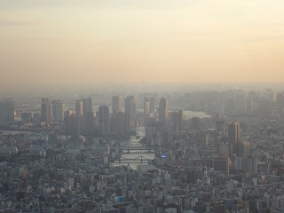 c쉺