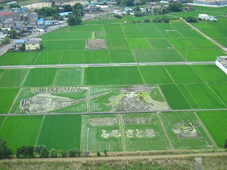 田んぼアートの風景