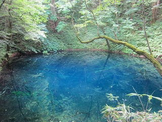 十二湖・青池の風景