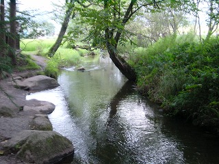 遠野・カッパ淵