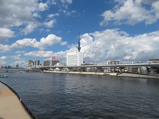 隅田川、東京スカイツリーを遠望する