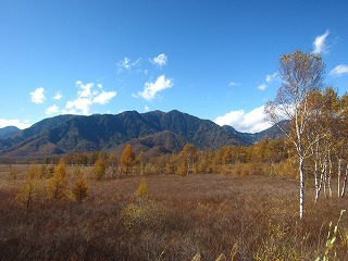 戦場ヶ原の草紅葉