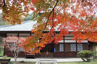 金龍寺の紅葉