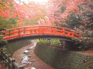 北野天満宮、御土居のもみじ苑