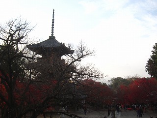 真如堂、参道の紅葉の夕景