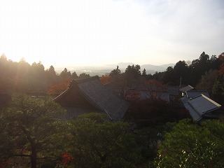 百済寺・天下遠望の名園