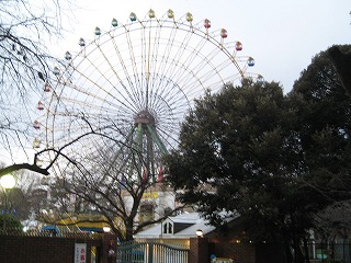 華蔵寺公園の大観覧車の風景