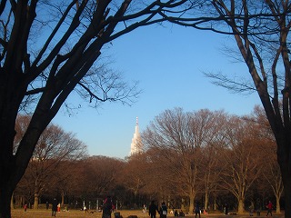 代々木公園の冬の風景
