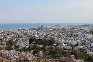 桜咲くかみね公園から日立市街地を望む風景