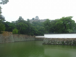 雨の中の丸亀城の風景