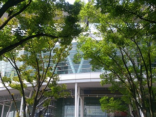 ケヤキ越しのさいたまスーパーアリーナの風景